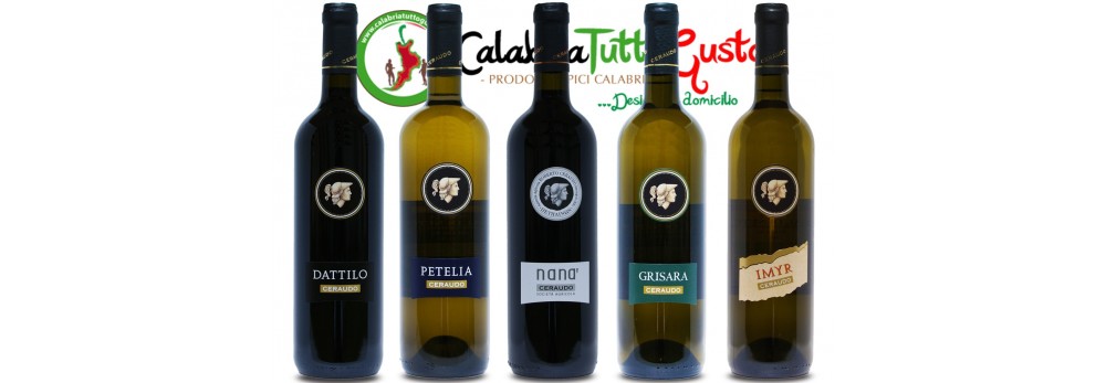 Vino tipico rosso calabrese famoso. migliori vini calabresi premiati ... Vino online migliori siti